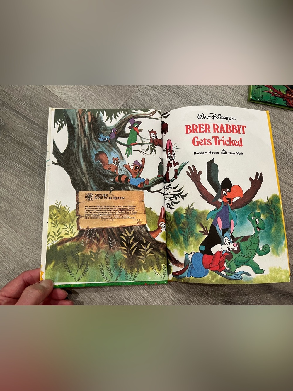 Disney Brer Rabbit Books - Picture 7 of 9